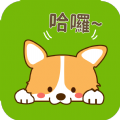 爱猫狗翻译  v1.5.3