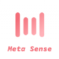 MetaSense  v1.0.0